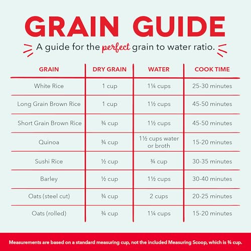 How does the best rice cooker DASH Mini DRCM200GBAQ04 perform? Read our review!