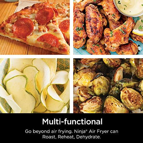 Is Ninja AF101 the best product in air fryers? Detailed review inside!