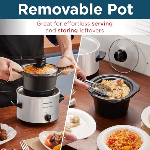 Is the Elite Gourmet MST-250XS the best slow cooker? Honest review and insights