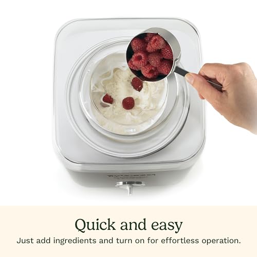 Cuisinart Ice Cream Maker Review Exploring Features and Performance of ICE30BCP1 Model
