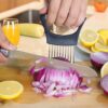 JAYVAR Onion Holder Review Best Kitchen Slicer for Vegetables and Fruits Safety