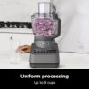 Ninja BN601 Food Processor Review Powerful Performance and Auto-IQ Technology Insights