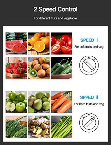 QCen KS-501 Centrifugal Juicer Review Powerful 500W Motor and Wide Mouth Design QCen KS-501 Centrifugal Juicer Review Powerful 500W Motor and Wide Mouth Design