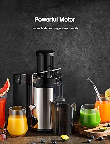 QCen KS-501 Centrifugal Juicer Review Powerful 500W Motor and Wide Mouth Design QCen KS-501 Centrifugal Juicer Review Powerful 500W Motor and Wide Mouth Design